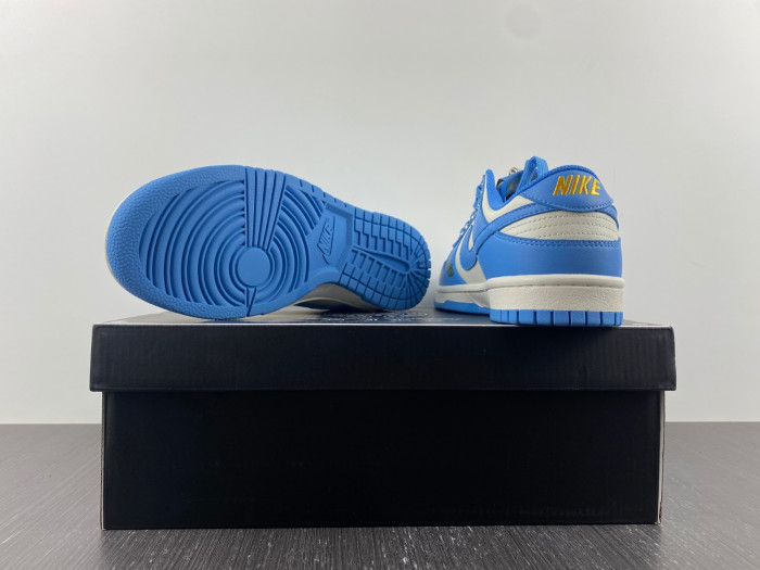 nike dunk low Ch*0me He**ts