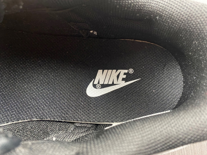 nike dunk low ndl010401