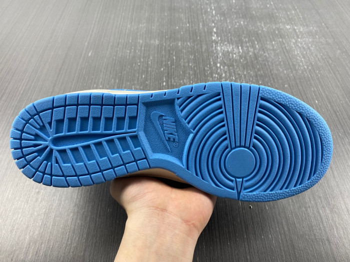 nike dunk low Ch*0me He**ts