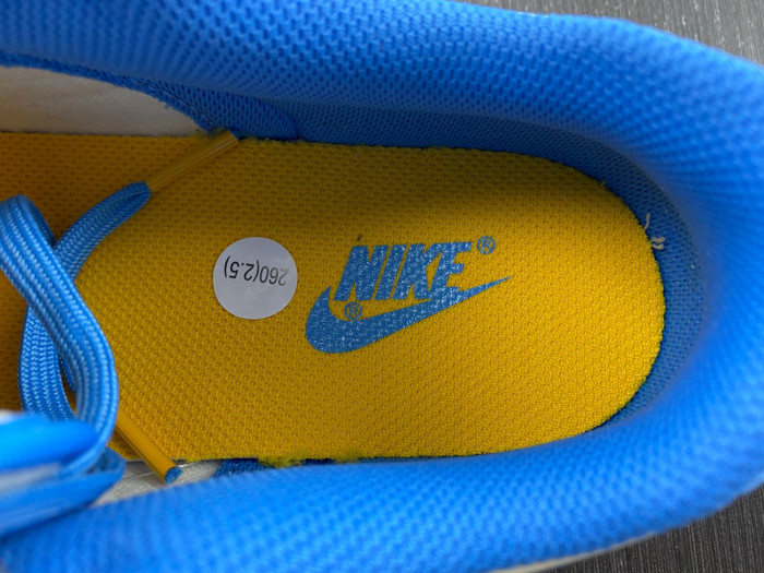 nike dunk low Ch*0me He**ts