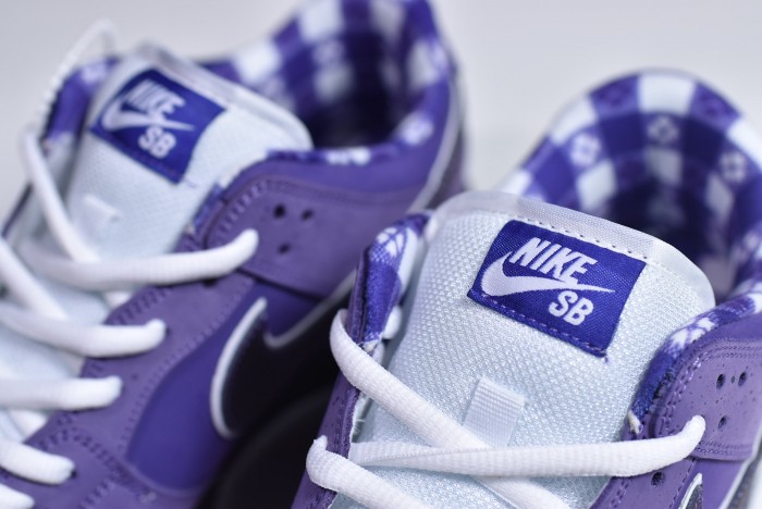 concepts x nk sb dunk low "purple lobster" bv1310-555