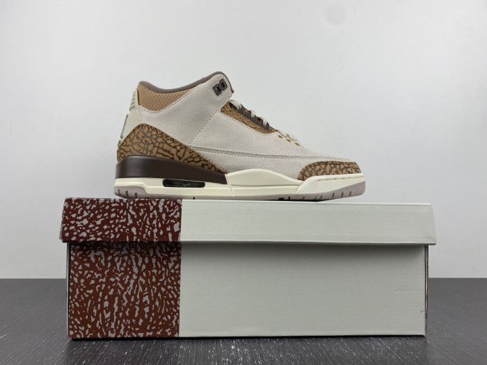 air jordan 3 “palomino” ct8532-102