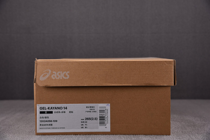 ASICS sneaker 1201A019-125