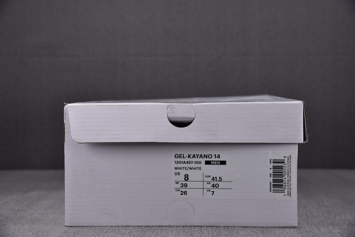 ASICS sneaker 1201A019-123