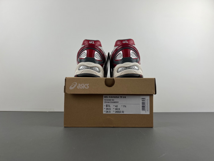 ASICS sneaker 1203A585-100