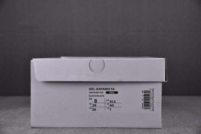 ASICS sneaker 1201A019-110