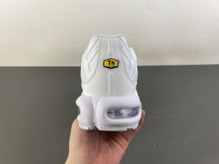 Nike Air Max Plus TN 
