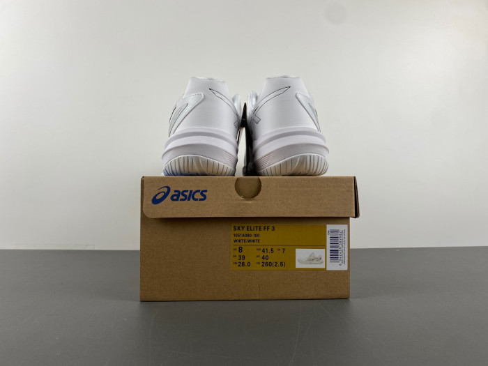 ASICS sneaker 1051A080-100