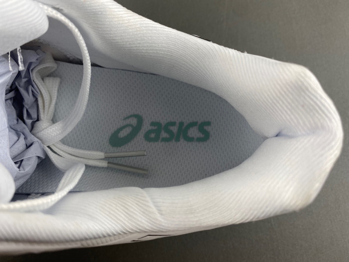 ASICS sneaker 1051A080-100