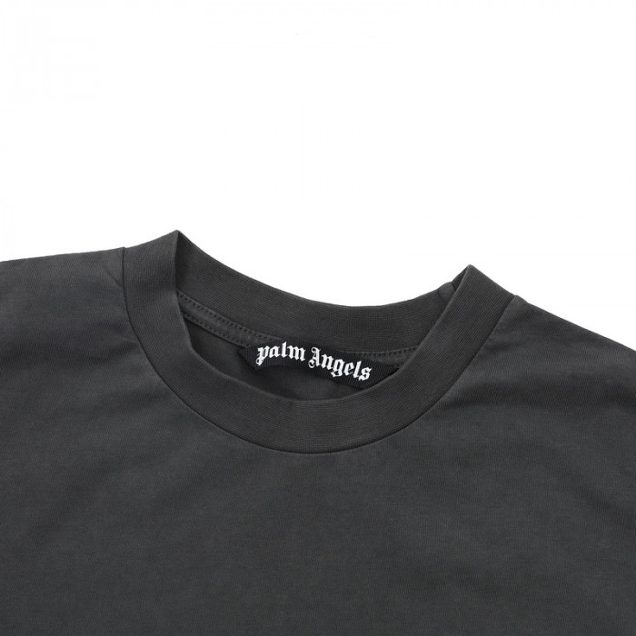 Palm Ange*10