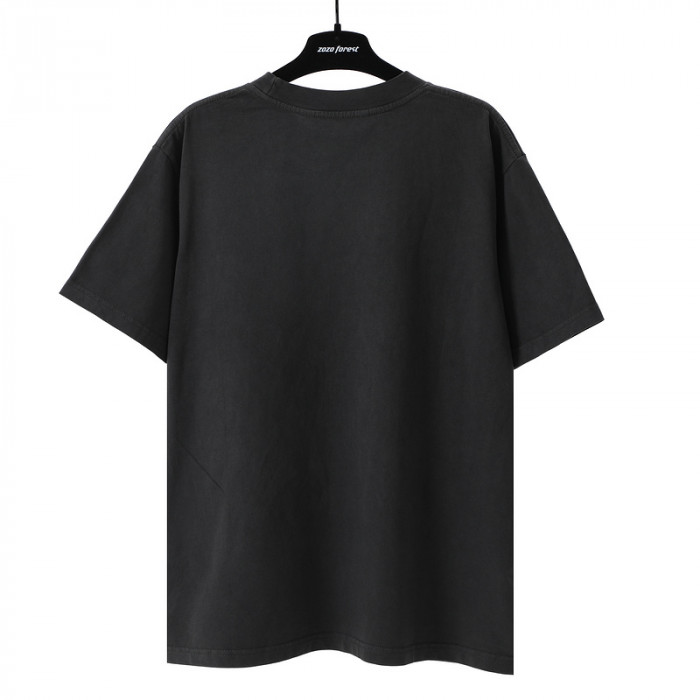 Palm Ange*10
