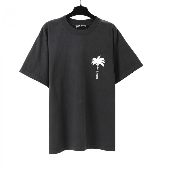 Palm Ange*10