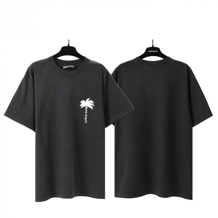 Palm Ange*10