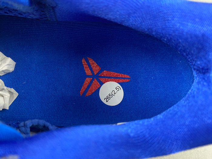 Nike Kobe 6 Protro Dodgers CW2190-400