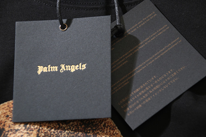 Palm Ange*13