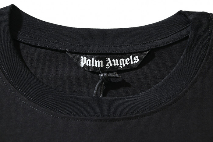 Palm Ange*13